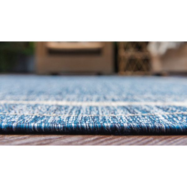 Sol 72 Outdoor™ Delmont Performance Blue Rug & Reviews Wayfair